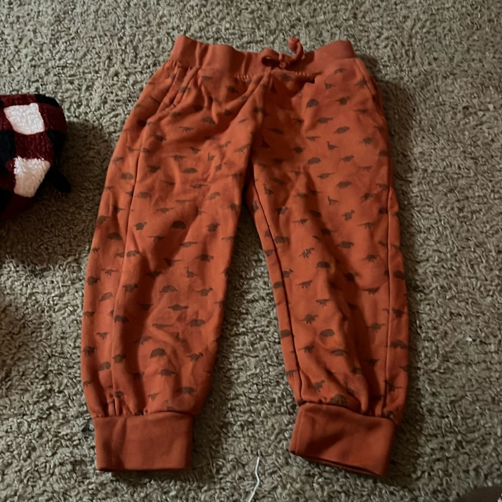 Dino toddler sweat  pants